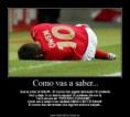 /album/fotogaleria/a268211-452902421411158-1178689137-n-jpg/